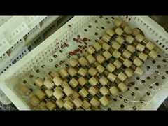 خازن سرامیکی ولتاژ بالا 40.5kVAC-100pF 4000V برای عایق خازنی